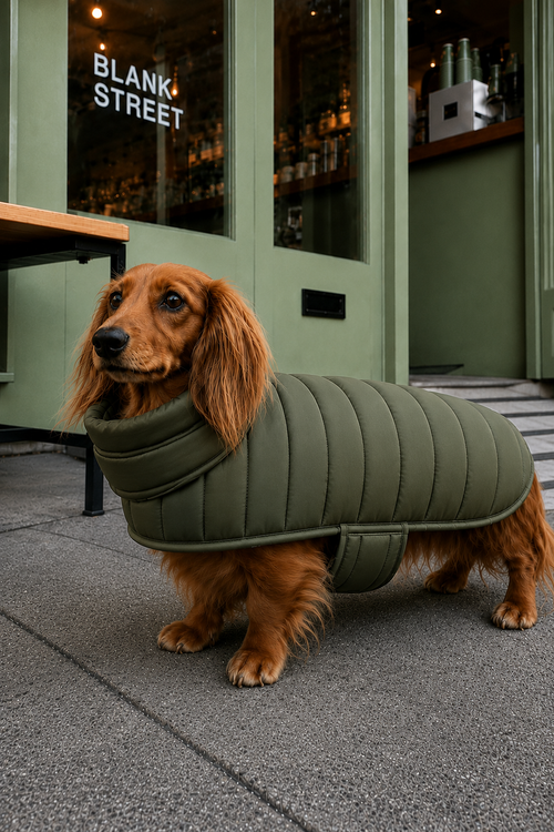 The Cloud Coat